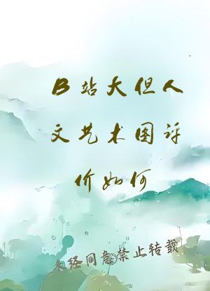 B站大但人文艺术图评价如何