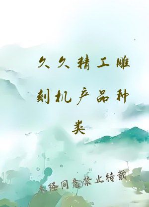 久久精工雕刻机产品种类