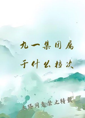 九一集团属于什么档次