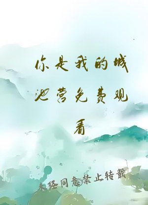 你是我的城池营免费观看