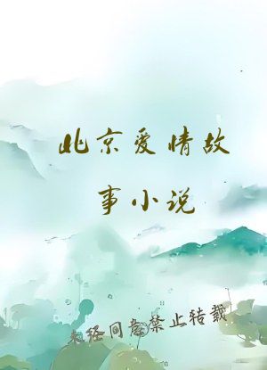 北京爱情故事小说