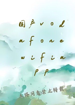 国产vodafonewifiapp