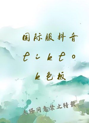 国际服抖音tiktok色板