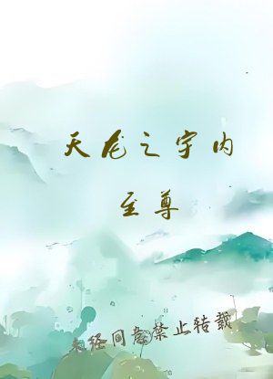 天龙之宇内至尊