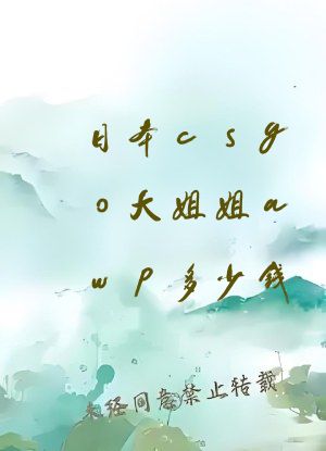 日本csgo大姐姐awp多少钱