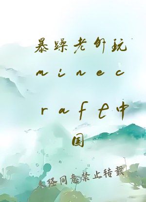暴躁老外玩minecraft中国