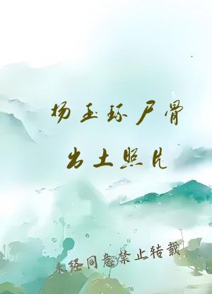 杨玉环尸骨出土照片