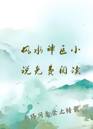 风水神医小说免费阅读